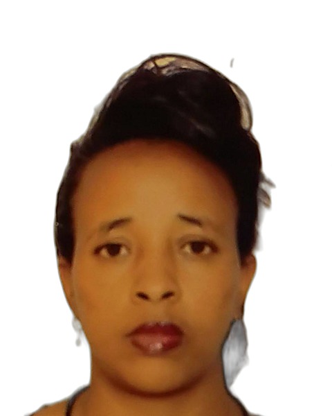 Ainalem Bekele
